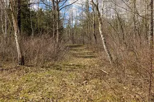 15138 Crotte Brook Trail, Dairyland, WI 54830 - Photo 38