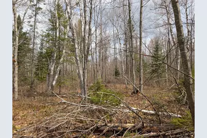 15138 Crotte Brook Trail, Dairyland, WI 54830 - Photo 40
