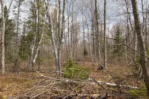 15138 Crotte Brook Trail, Dairyland, WI 54830 - Photo 40