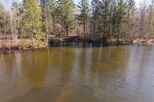 15138 Crotte Brook Trail, Dairyland, WI 54830 - Photo 20