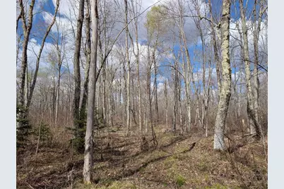 15138 Crotte Brook Trail, Dairyland, WI 54830 - Photo 42