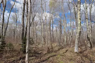15138 Crotte Brook Trail, Dairyland, WI 54830 - Photo 42