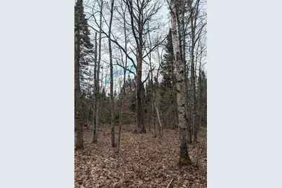 15138 Crotte Brook Trail, Dairyland, WI 54830 - Photo 52