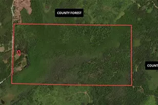15138 Crotte Brook Trail, Dairyland, WI 54830 - Photo 16