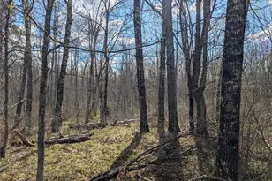 15138 Crotte Brook Trail, Dairyland, WI 54830 - Photo 44