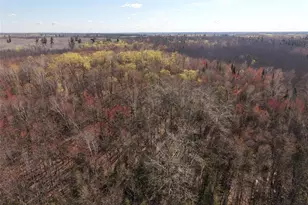 15138 Crotte Brook Trail, Dairyland, WI 54830 - Photo 36