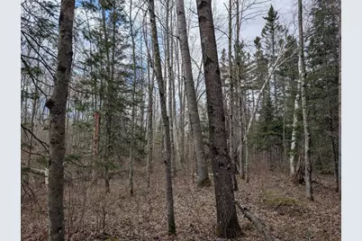 15138 Crotte Brook Trail, Dairyland, WI 54830 - Photo 58