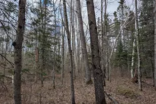 15138 Crotte Brook Trail, Dairyland, WI 54830 - Photo 58