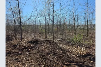 0 County Highway E Lot 3, Elk Mound, WI 54739 - Photo 8