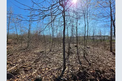 0 County Highway E Lot 3, Elk Mound, WI 54739 - Photo 6