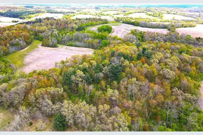 125 Acres Steig Coulee Road, Osseo, WI 54758 - Photo 2
