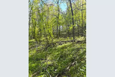 125 Acres Steig Coulee Road, Osseo, WI 54758 - Photo 12