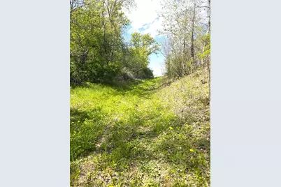 125 Acres Steig Coulee Road, Osseo, WI 54758 - Photo 28