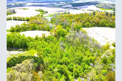 125 Acres Steig Coulee Road, Osseo, WI 54758 - Photo 6