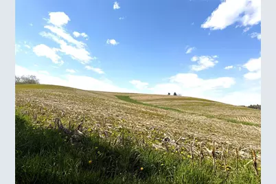 125 Acres Steig Coulee Road, Osseo, WI 54758 - Photo 10