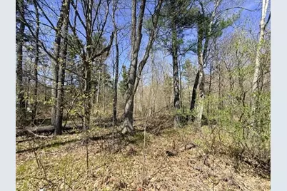 0 County Road B, Hayward, WI 54843 - Photo 1