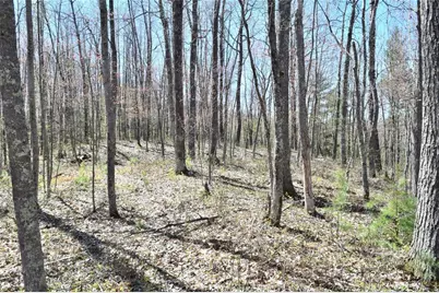 Tbd Highline Road, Hayward, WI 54843 - Photo 22