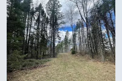 81620 Pociask Road, Butternut, WI 54514 - Photo 4