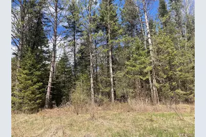 81620 Pociask Road, Butternut, WI 54514 - Photo 2