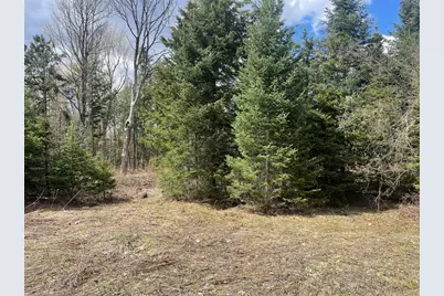 81620 Pociask Road, Butternut, WI 54514 - Photo 8