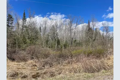 40+/- Acres On Pociask Road, Butternut, WI 54514 - Photo 2
