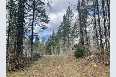 40+/- Acres On Pociask Road, Butternut, WI 54514 - Photo 4