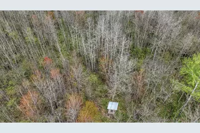 27.6 Acres On Helena Drive, Conrath, WI 54731 - Photo 6