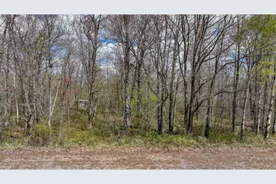 27.6 Acres On Helena Drive, Conrath, WI 54731 - Photo 18