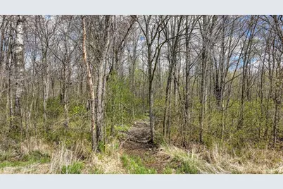 27.6 Acres On Helena Drive, Conrath, WI 54731 - Photo 16