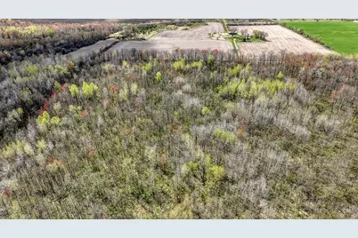 27.6 Acres On Helena Drive, Conrath, WI 54731 - Photo 12