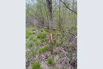 27.6 Acres On Helena Drive, Conrath, WI 54731 - Photo 20