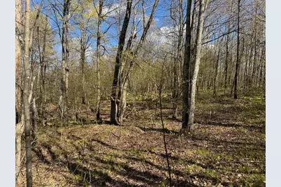 Lots 1-2 Trapper Trail, Hayward, WI 54843 - Photo 24