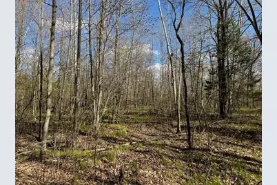 Lots 1-2 Trapper Trail, Hayward, WI 54843 - Photo 26