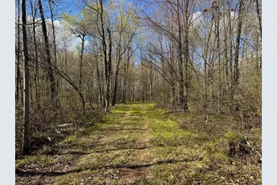 Lot 7 Trapper Trail, Hayward, WI 54843 - Photo 16