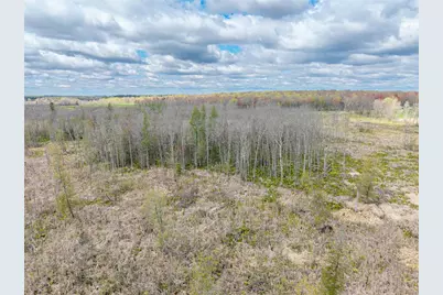 40 Acres Anderson &amp; School Road, Glen Flora, WI 54526 - Photo 8