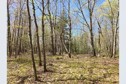 Lot 3 County Highway D, Cable, WI 54821 - Photo 4