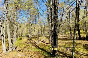 1297 Dock Lake Rd, Spooner, WI 54801 - Photo 40