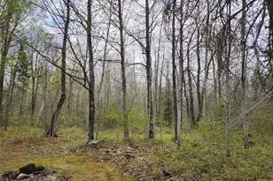 81289 East Side Fire Ln, Glidden, WI 54527 - Photo 12