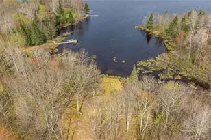 5807 Strom Rd, Winter, WI 54896 - Photo 10