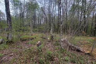 W10389 Fleming Rd, Park Falls, WI 54552 - Photo 16