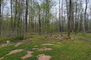 W10389 Fleming Rd, Park Falls, WI 54552 - Photo 18