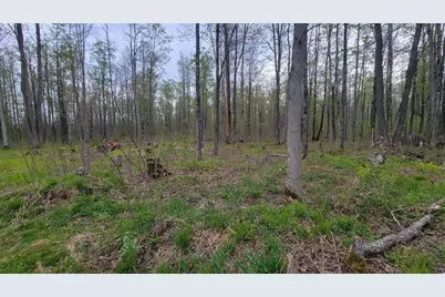 W10389 Fleming Road, Park Falls, WI 54552 - Photo 24