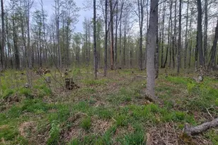 W10389 Fleming Rd, Park Falls, WI 54552 - Photo 24