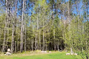 9159N Chippewa Pines Way, Winter, WI 54896 - Photo 44