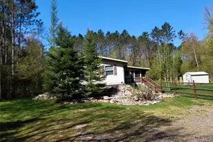 9159N Chippewa Pines Way, Winter, WI 54896 - Photo 48