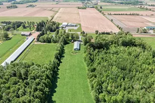 W6062 County Rd X, Withee, WI 54498 - Photo 40