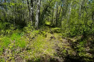 N4798 Loop Rd, Spooner, WI 54801 - Photo 18