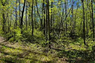 N4798 Loop Rd, Spooner, WI 54801 - Photo 44