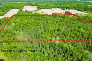 W9902 Flohr Rd, Ladysmith, WI 54848 - Photo 38