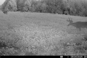 N8771 Fye Rd, Trego, WI 54888 - Photo 42